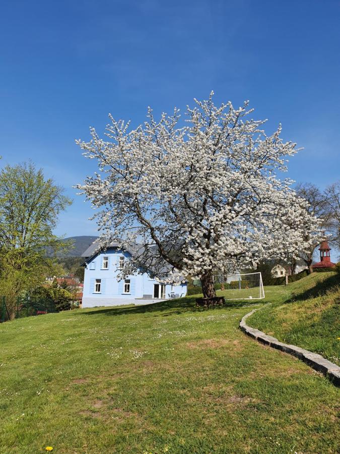 Svoboda nad Úpou Blue Pension מראה חיצוני תמונה